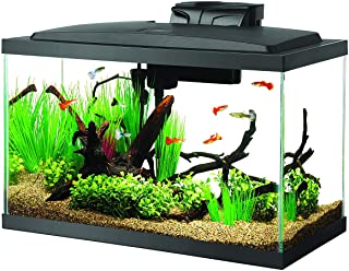 Betta fish 10 hot sale gallon tank setup